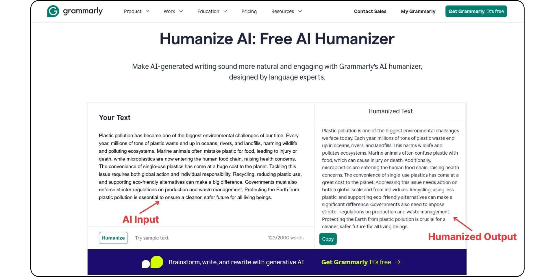 grammarly ai humanizer