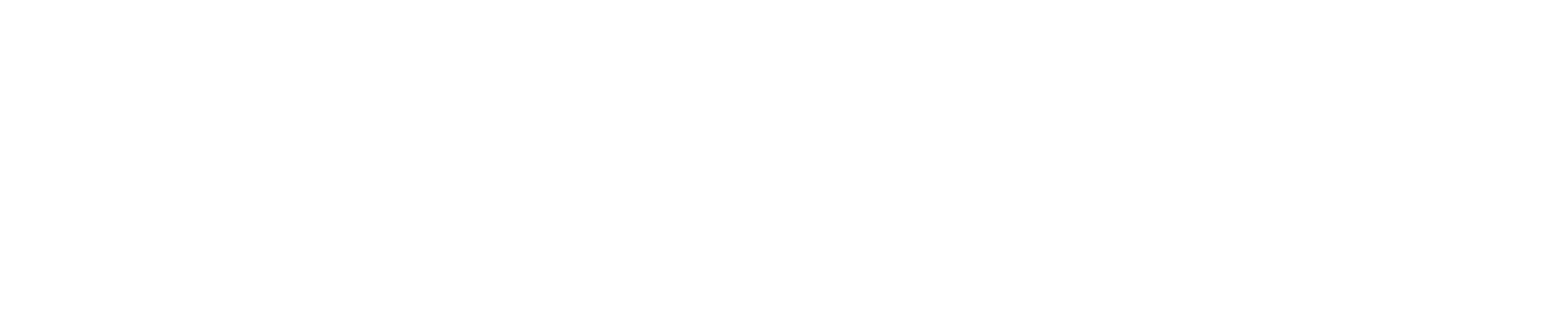 HumanizeAI Logo